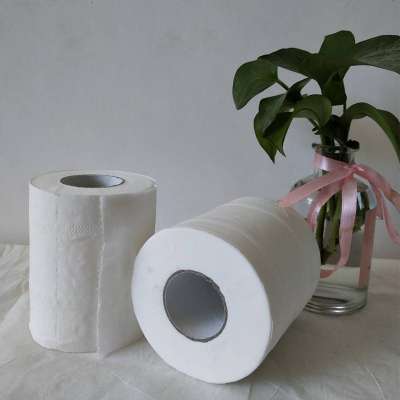 Cheap Price Scott Toilet Paper  soft 3 ply  Toilet  paper tissue